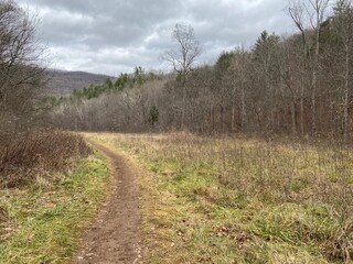Ellett Valley Nature Preserve - Montgomery County, VA