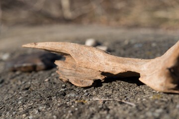 abstract wooden shapes on a concrete wall by the river - sunlight illumination - outdoors, winter