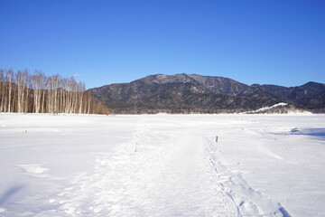 Fototapeta na wymiar Lake Nukabira, Ice Lake in Kamishihoro, Hokkaido, Japan - 日本 北海道 上士幌町 糠平湖 音更川