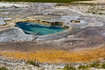 geyser in park national park