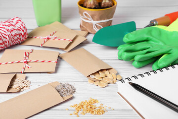 Many different vegetable seeds and notebook on white wooden table