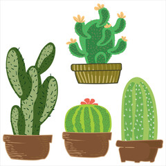 Cactus  hand drawn cartoon art illustration