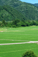 Obraz premium 秋田 山間の田園 