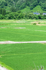 秋田 山間の田園
