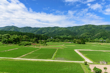 秋田 山間の田園
