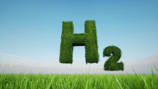 Hydrogen sign made from green grass on a field bac