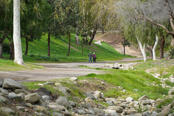 Elderly senior couple walking together for exercise holding hands  along park trail in spring summer