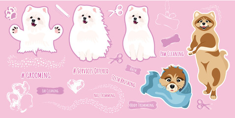 GROOMING SET. Set with dogs breed pomeranian for grooming salon. White and brown spitz. Pet salon.