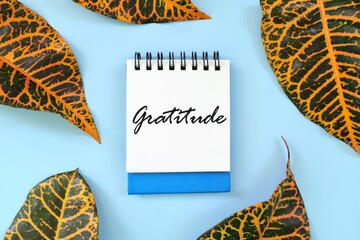 Gratitude concept. Word written on blue notepad. Beautiful minimalist flat lay composition.	