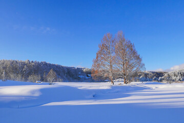 雪に埋もれた公園の冬景色