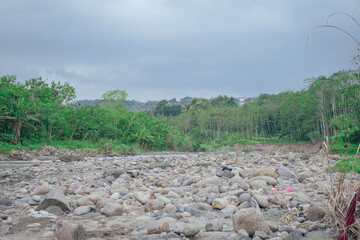River side with river stone and green ambush when late afternoon. The photo is suitable to use for...