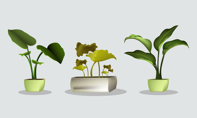 Fototapeta na wymiar Leaf Plant In Pot With Shadow Illustration