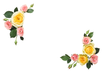 Floral frame made of beautiful roses on transparent background.