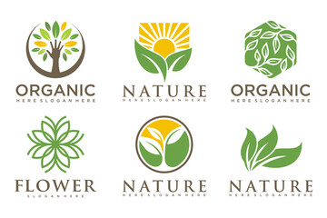 Fototapeta na wymiar natural product icon set logo design