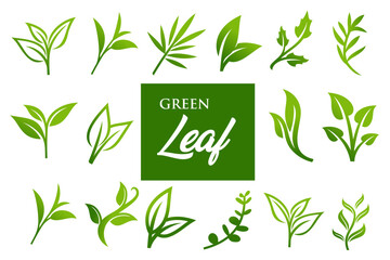 Set of green leaf logo design inspiration vector icons