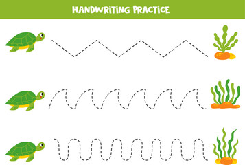 Tracing lines for kids. Cartoon seaweeds and turtles.