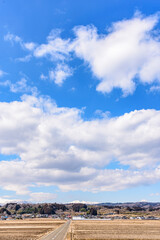 早春の蔵王山麓
