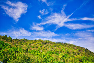 Fototapeta na wymiar 新緑の山と素晴らしい青空