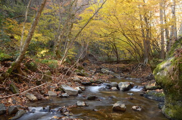晩秋の達沢不動滝