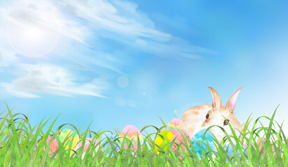 野原のウサギとイースターエッグの風景