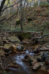中ノ沢温泉の紅葉