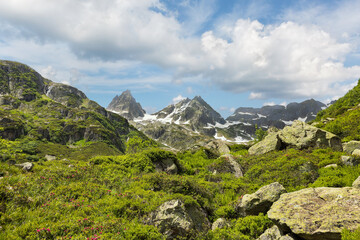 Fototapeta premium mountain scenery of Sustenpass in the swiss alps