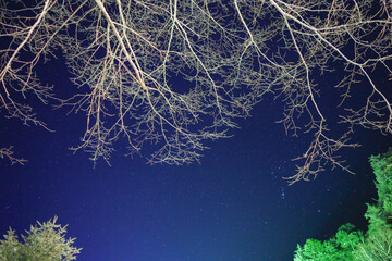 stars in the night sky