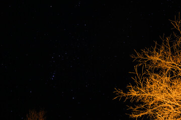 stars in the night sky
