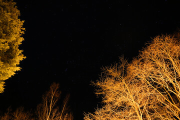 stars in the night sky