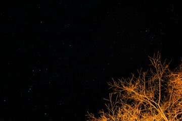 stars in the night sky
