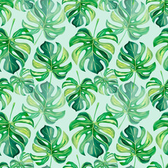 A pattern of tropical plants. Monstera. The palm branch. Watercolor illustration. Nature of the tropics. Collage of monstera and palm trees. Mosaic.