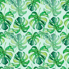 A pattern of tropical plants. Monstera. The palm branch. Watercolor illustration. Nature of the tropics. Collage of monstera and palm trees. Mosaic.