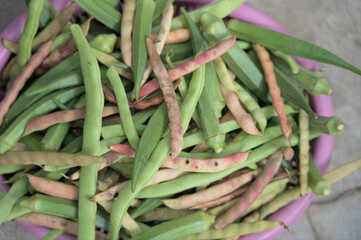 great beans in a basket