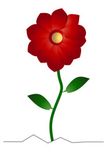 Dahlia Flowers With white Background elements. Vector illustration