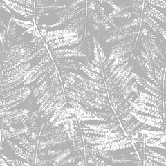 Botanical abstract background with the fern leaves
