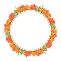 A beautiful wreath of calendula. Round flower arrangement on a white background. A wreath of medicinal flowers to decorate homeopathic tea, eco-products, natural cosmetics. Watercolor