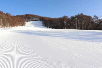 スキー場圧雪した朝一のゲレンデ ピステンの縞模様　web背景