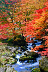 秋の那倉川渓谷（福島県・塙町）