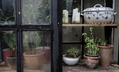 The beautiful little greenhouse in the garden