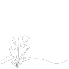 Snowdrop flowers line drawing on white background