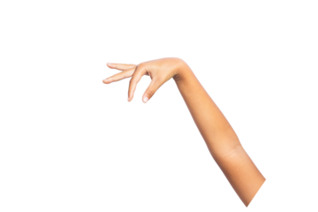 hand holding something isolated on white