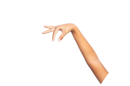 hand holding something isolated on white