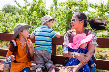 Japanese American mom going on wagon ride though apple orchard with children