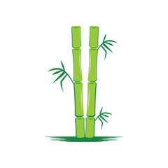 Fototapeta premium Bamboo ,green nature , logo design template, brand company