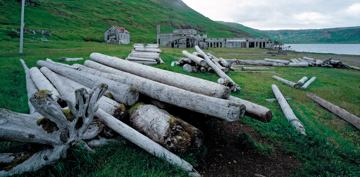 driftwood in front of an old hering factory at Nordurfjordur fjord in the remote westfjords of Iceland