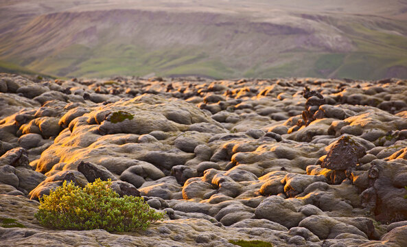 Lavafield covered with moos close to Kirkjubaejarklaustur in the south of Iceland