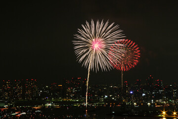 東京湾大華火祭 in 2012