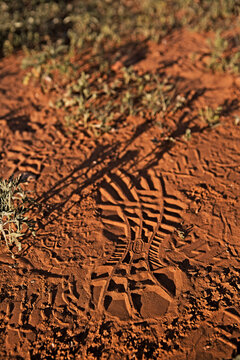 A foot print in the sand.