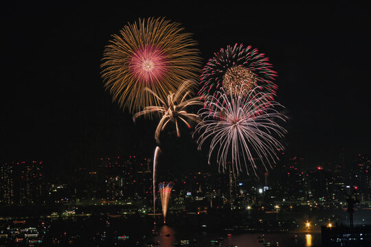 東京湾大華火祭 in 2013