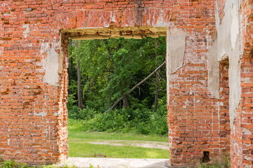 Ruins of old palace, forest view through doorway in wall